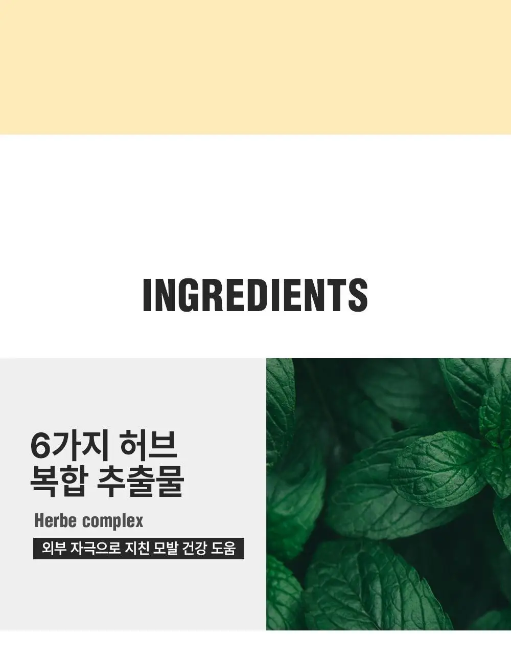 [1등 다운펌/강력밀착] 다슈 포맨 프리미엄 울트라 본드 젤 다운펌 100ml 상세페이지 16